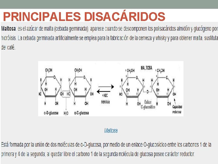 PRINCIPALES DISACÁRIDOS 