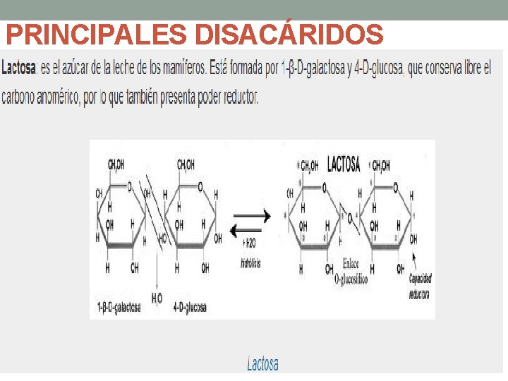 PRINCIPALES DISACÁRIDOS 