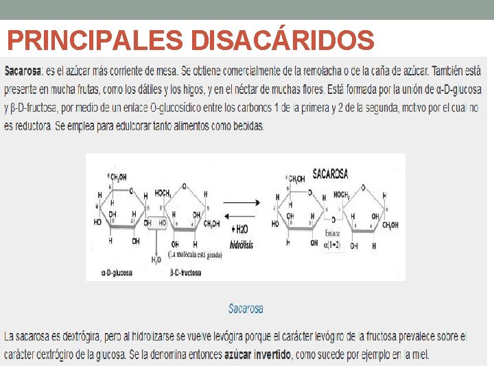 PRINCIPALES DISACÁRIDOS 