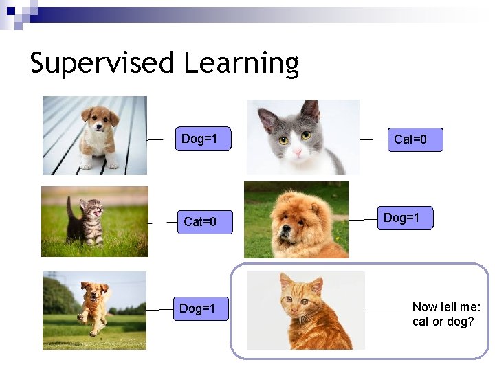 Supervised Learning Dog=1 Cat=0 Dog=1 Now tell me: cat or dog? 