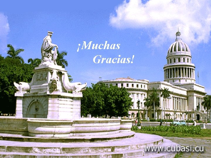 ¡Muchas Gracias! ¡Muchas Gracias!