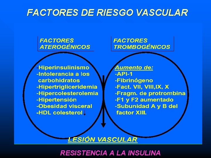 FACTORES DE RIESGO VASCULAR RESISTENCIA A LA INSULINA FACTORES DE RIESGO VASCULAR RESISTENCIA A LA INSULINA