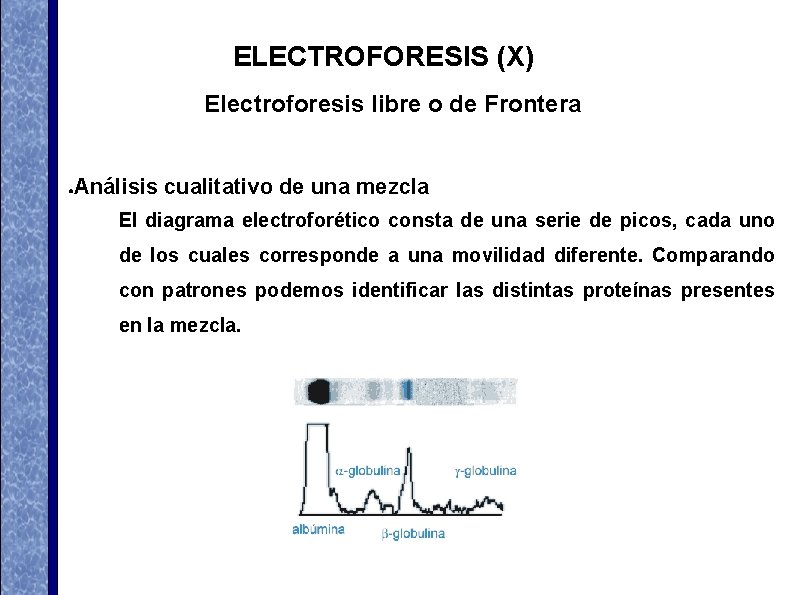 ELECTROFORESIS (X) Electroforesis libre o de Frontera Análisis cualitativo de una mezcla ● El ELECTROFORESIS (X) Electroforesis libre o de Frontera Análisis cualitativo de una mezcla ● El