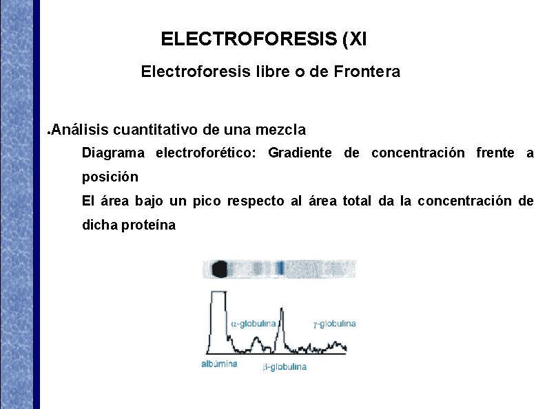 ELECTROFORESIS (XI Electroforesis libre o de Frontera Análisis cuantitativo de una mezcla ● Diagrama ELECTROFORESIS (XI Electroforesis libre o de Frontera Análisis cuantitativo de una mezcla ● Diagrama