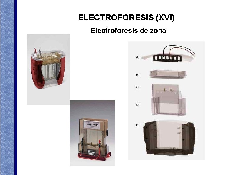 ELECTROFORESIS (XVI) Electroforesis de zona ELECTROFORESIS (XVI) Electroforesis de zona
