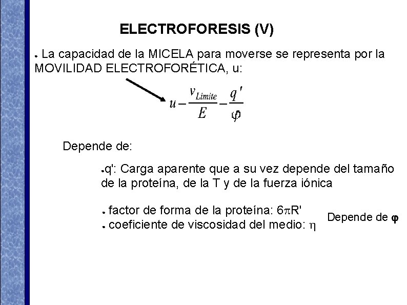 ELECTROFORESIS (V) La capacidad de la MICELA para moverse se representa por la MOVILIDAD ELECTROFORESIS (V) La capacidad de la MICELA para moverse se representa por la MOVILIDAD
