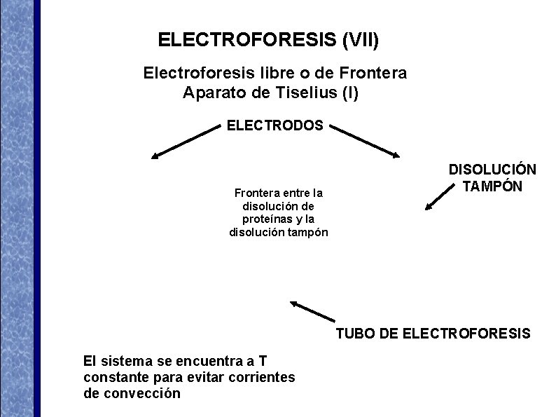 ELECTROFORESIS (VII) Electroforesis libre o de Frontera Aparato de Tiselius (I) ELECTRODOS Frontera entre ELECTROFORESIS (VII) Electroforesis libre o de Frontera Aparato de Tiselius (I) ELECTRODOS Frontera entre