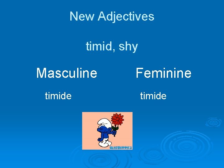 New Adjectives timid, shy Masculine timide Feminine timide 