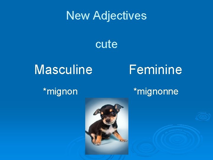 New Adjectives cute Masculine *mignon Feminine *mignonne 