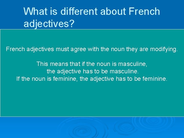 What is different about French adjectives? French adjectives must agree with the noun they