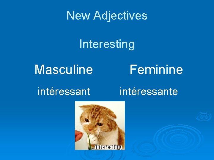 New Adjectives Interesting Masculine intéressant Feminine intéressante 