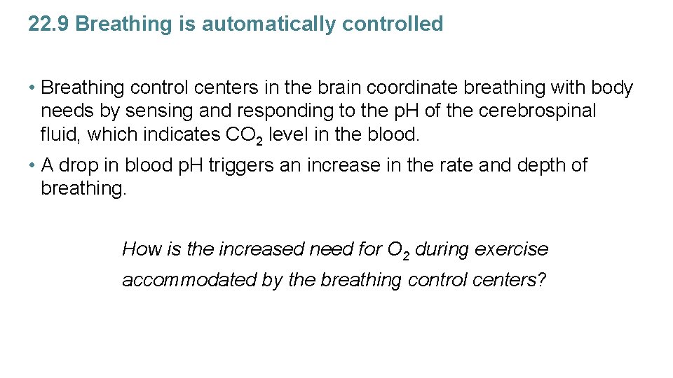 22. 9 Breathing is automatically controlled • Breathing control centers in the brain coordinate