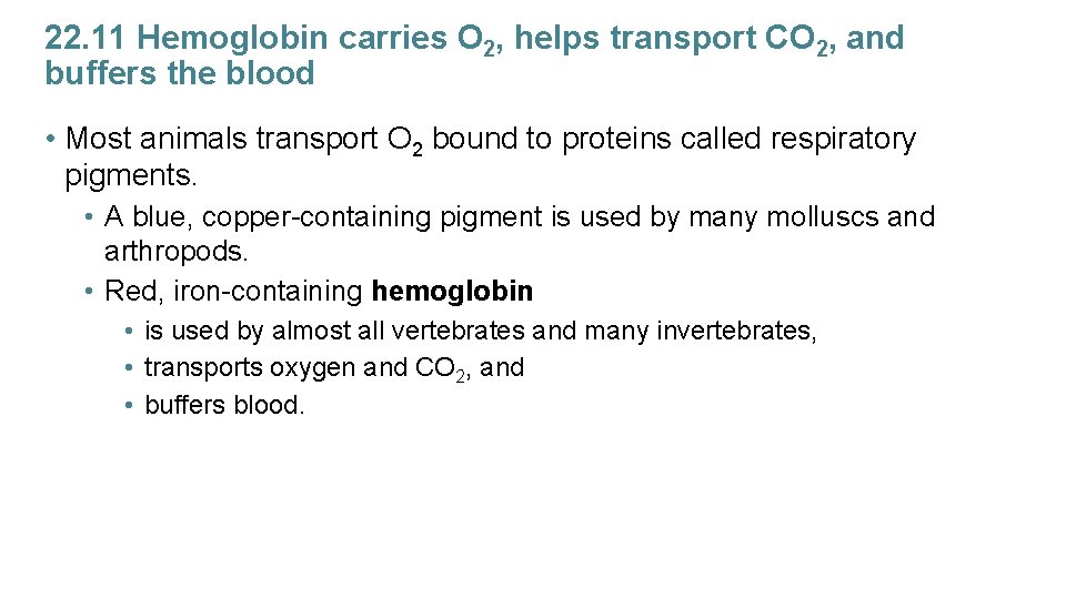 22. 11 Hemoglobin carries O 2, helps transport CO 2, and buffers the blood