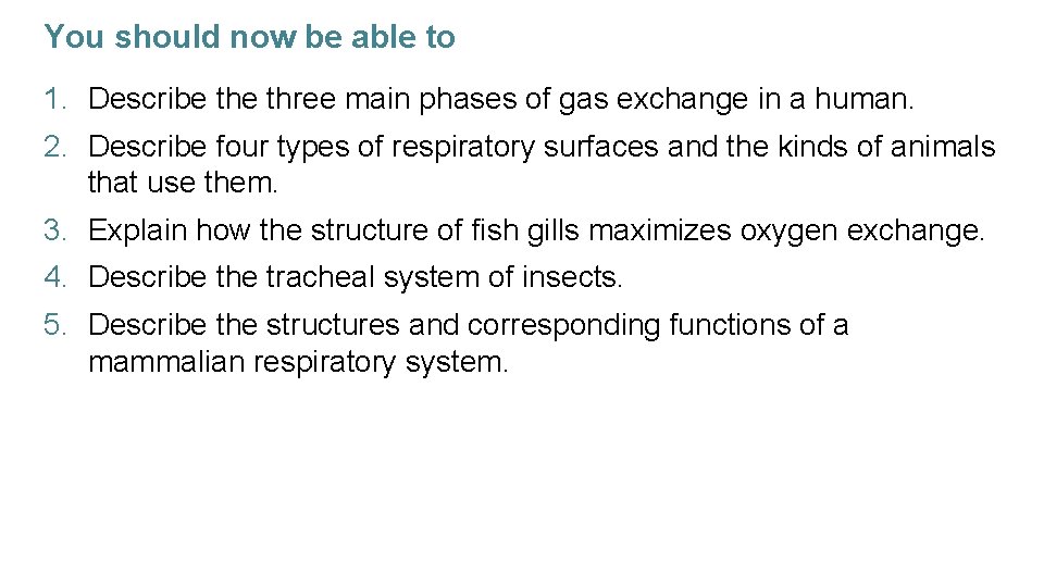 You should now be able to 1. Describe three main phases of gas exchange