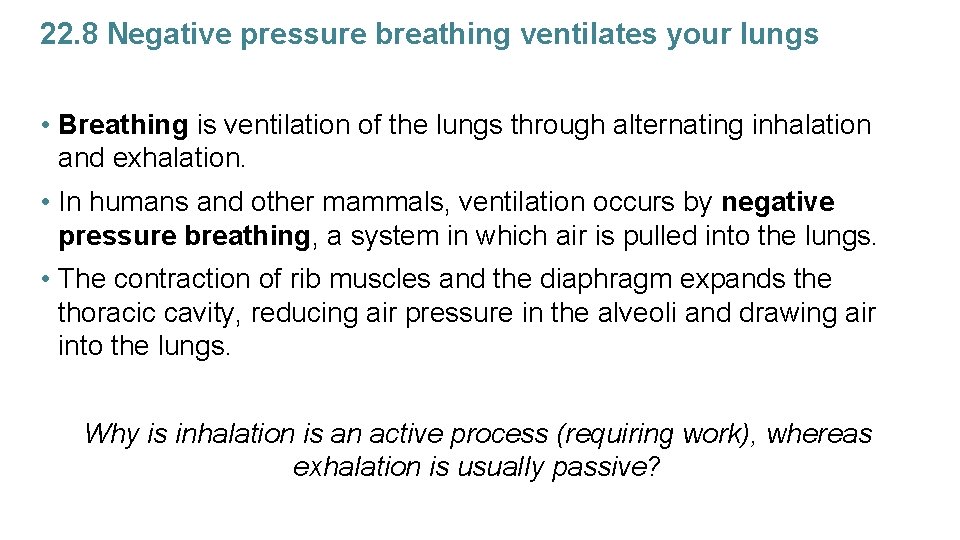 22. 8 Negative pressure breathing ventilates your lungs • Breathing is ventilation of the