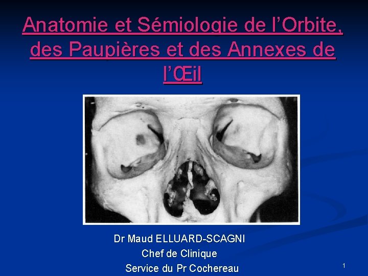 Anatomie et Sémiologie de l’Orbite, des Paupières et des Annexes de l’Œil Dr Maud