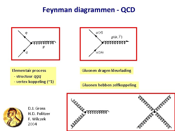 Feynman diagrammen - QCD Elementair process - structuur qgq - vertex koppeling (~1) D.
