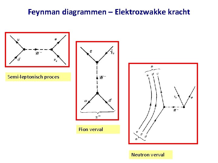 Feynman diagrammen – Elektrozwakke kracht Semi-leptonisch proces Pion verval Neutron verval 