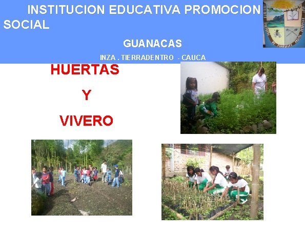 INSTITUCION EDUCATIVA PROMOCION SOCIAL GUANACAS INZA. TIERRADENTRO - CAUCA HUERTAS Y VIVERO 