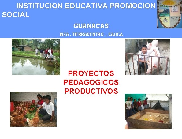 INSTITUCION EDUCATIVA PROMOCION SOCIAL GUANACAS INZA. TIERRADENTRO - CAUCA PROYECTOS PEDAGOGICOS PRODUCTIVOS 