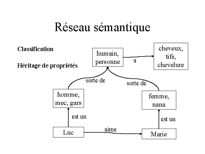 Réseau sémantique Classification humain, personne Héritage de propriétés sorte de homme, mec, gars sorte