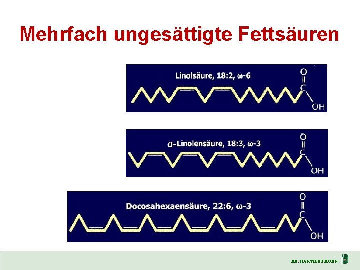 Mehrfach ungesättigte Fettsäuren DR. HARTMUT HORN 