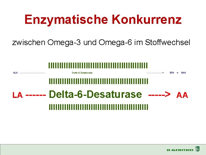 Enzymatische Konkurrenz zwischen Omega-3 und Omega-6 im Stoffwechsel IIIIIIIIIIIIIIIIIIIIIII ALA ----------------- Delta-6 -Desaturase ----------->