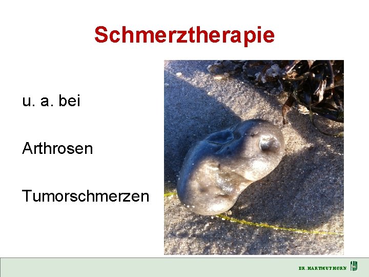 Schmerztherapie u. a. bei Arthrosen Tumorschmerzen DR. HARTMUT HORN 