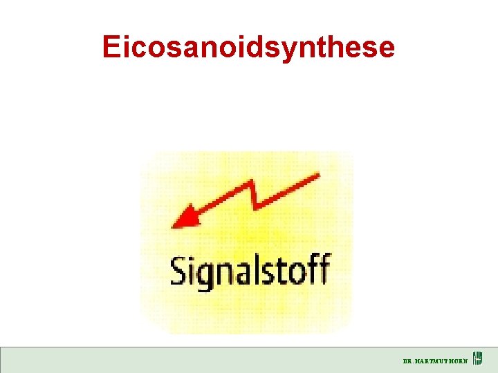 Eicosanoidsynthese DR. HARTMUT HORN 