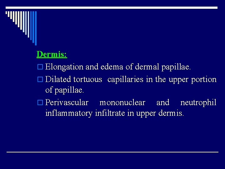 Dermis: o Elongation and edema of dermal papillae. o Dilated tortuous capillaries in the