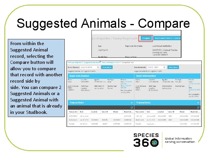 Suggested Animals - Compare From within the Suggested Animal record, selecting the Compare button