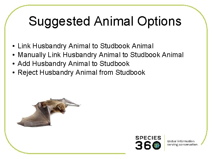 Suggested Animal Options • • Link Husbandry Animal to Studbook Animal Manually Link Husbandry