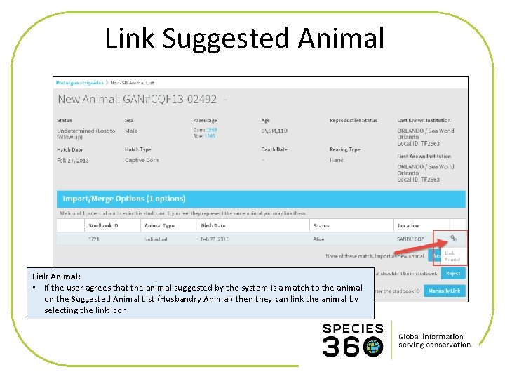 Link Suggested Animal Link Animal: • If the user agrees that the animal suggested