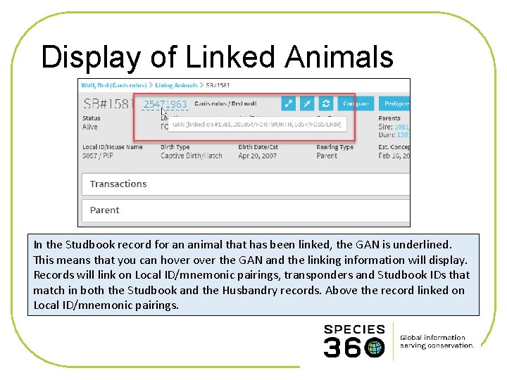 Display of Linked Animals In the Studbook record for an animal that has been