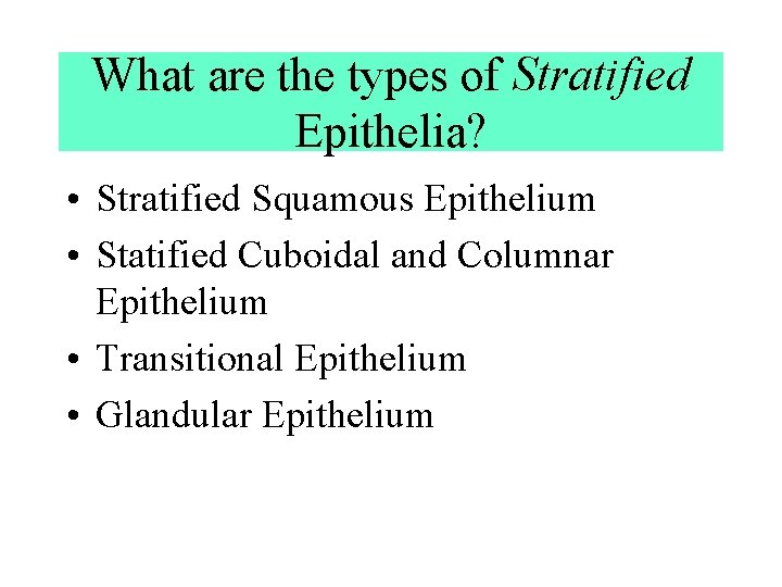 What are the types of Stratified Epithelia? • Stratified Squamous Epithelium • Statified Cuboidal What are the types of Stratified Epithelia? • Stratified Squamous Epithelium • Statified Cuboidal