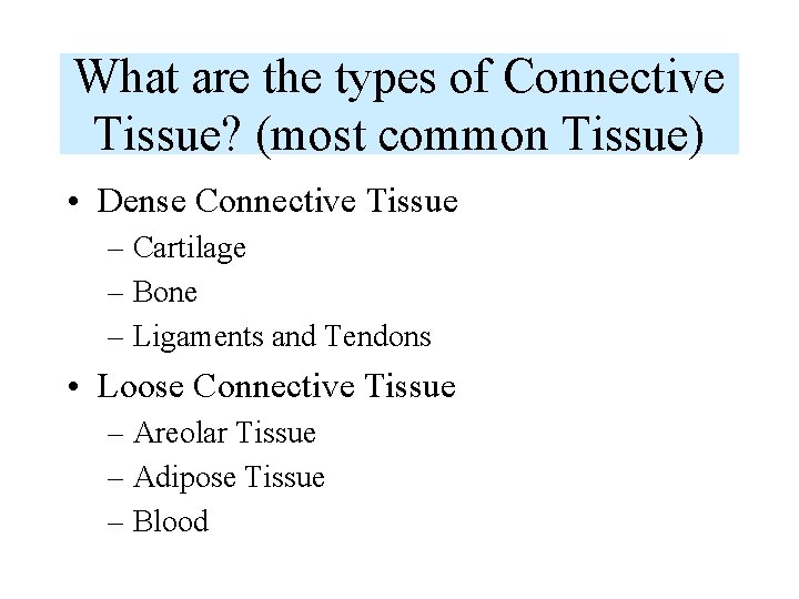 What are the types of Connective Tissue? (most common Tissue) • Dense Connective Tissue What are the types of Connective Tissue? (most common Tissue) • Dense Connective Tissue