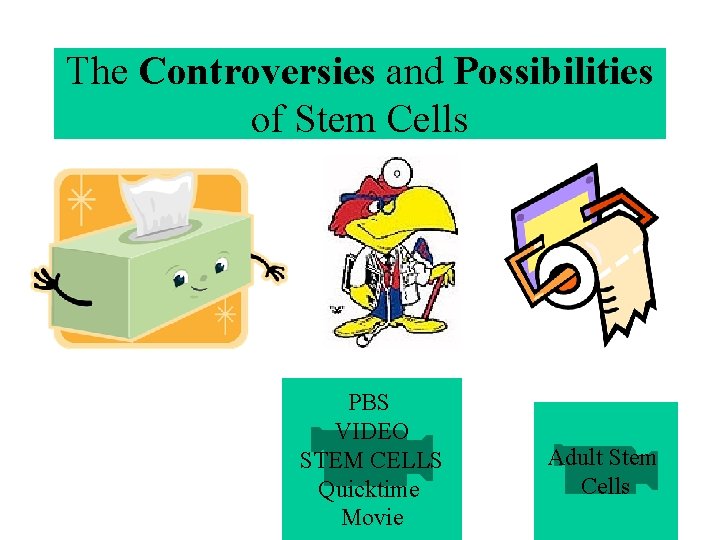 The Controversies and Possibilities of Stem Cells PBS VIDEO STEM CELLS Quicktime Movie Adult The Controversies and Possibilities of Stem Cells PBS VIDEO STEM CELLS Quicktime Movie Adult