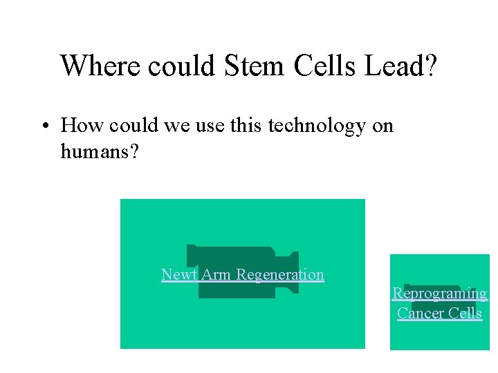 Where could Stem Cells Lead? • How could we use this technology on humans? Where could Stem Cells Lead? • How could we use this technology on humans?