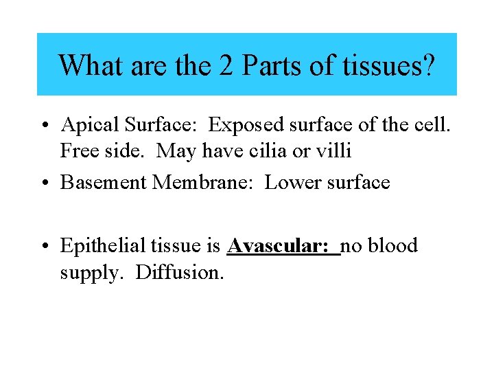 What are the 2 Parts of tissues? • Apical Surface: Exposed surface of the What are the 2 Parts of tissues? • Apical Surface: Exposed surface of the