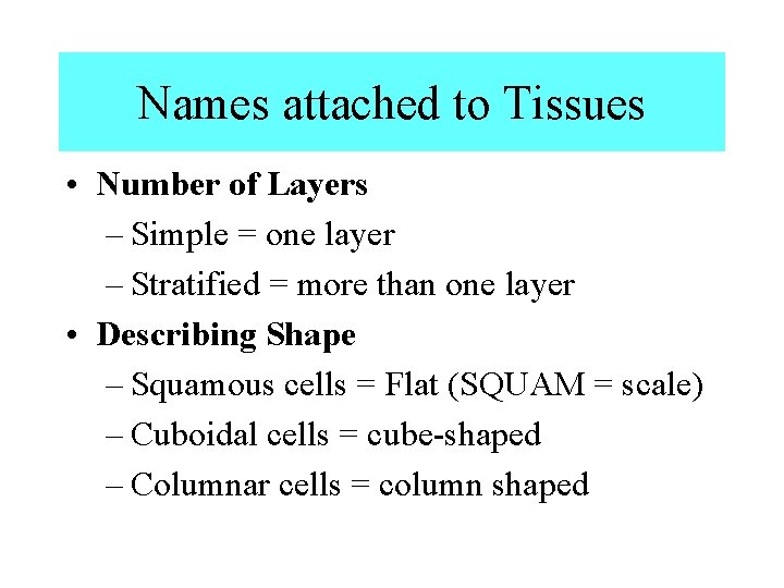Names attached to Tissues • Number of Layers – Simple = one layer – Names attached to Tissues • Number of Layers – Simple = one layer –