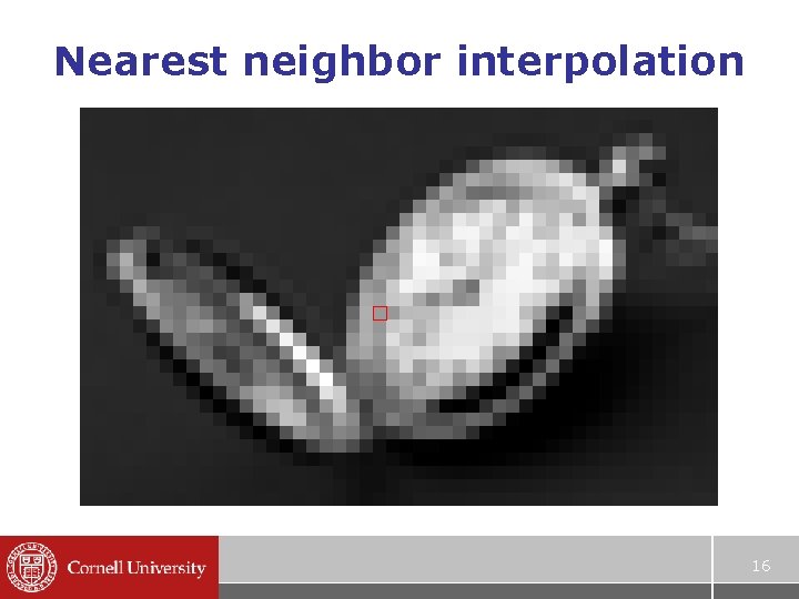 Nearest neighbor interpolation 16 Nearest neighbor interpolation 16