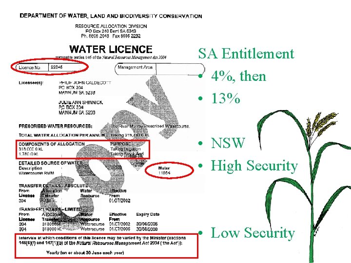 SA Entitlement • 4%, then • 13% • NSW • High Security • Low
