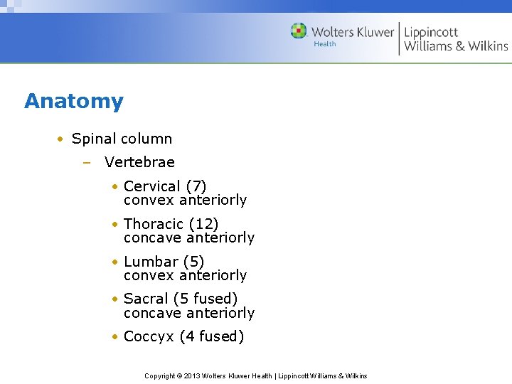 Anatomy • Spinal column – Vertebrae • Cervical (7) convex anteriorly • Thoracic (12)