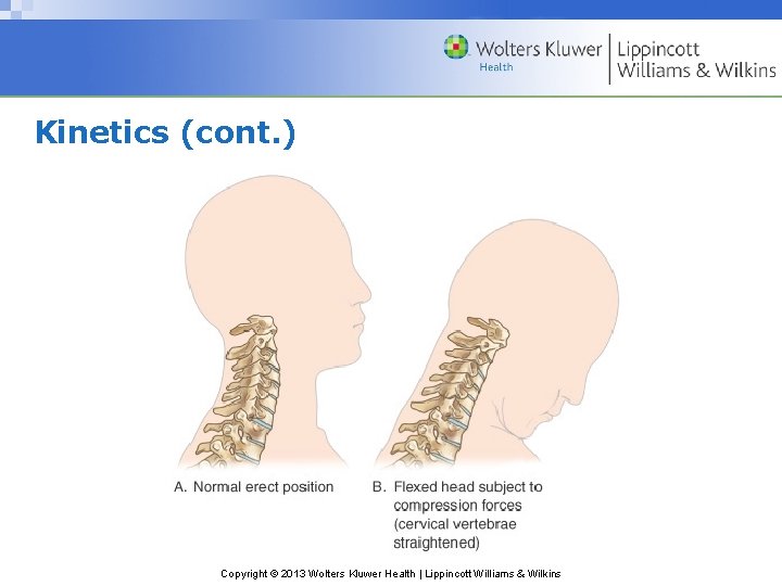 Kinetics (cont. ) Copyright © 2013 Wolters Kluwer Health | Lippincott Williams & Wilkins