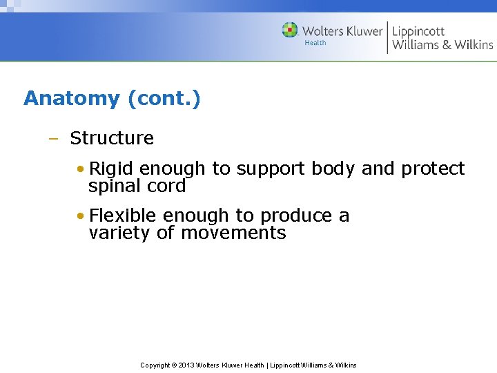 Anatomy (cont. ) – Structure • Rigid enough to support body and protect spinal