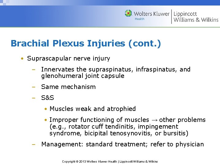 Brachial Plexus Injuries (cont. ) • Suprascapular nerve injury – Innervates the supraspinatus, infraspinatus,