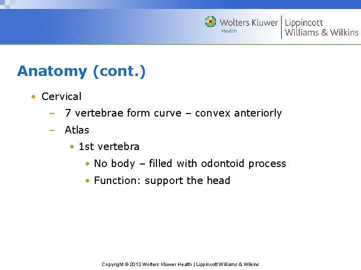 Anatomy (cont. ) • Cervical – 7 vertebrae form curve – convex anteriorly –