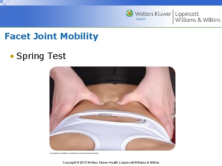 Facet Joint Mobility • Spring Test Copyright © 2013 Wolters Kluwer Health | Lippincott