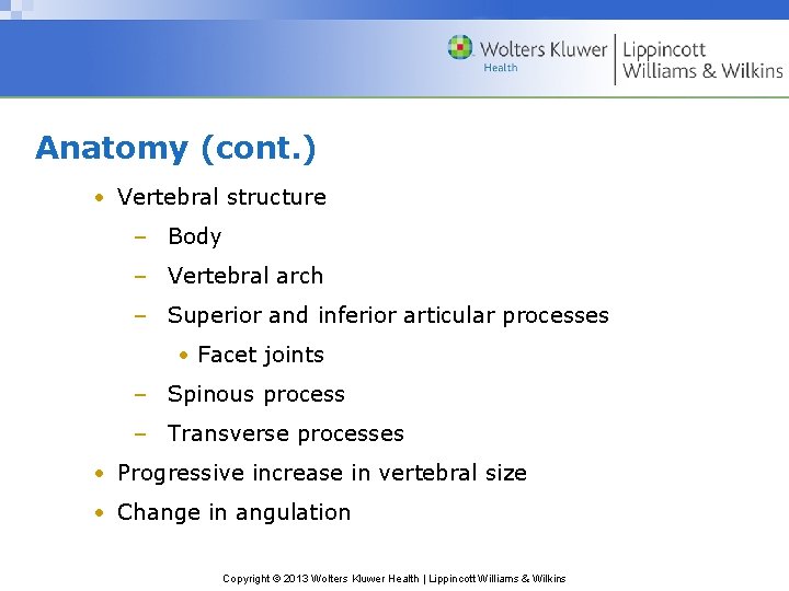 Anatomy (cont. ) • Vertebral structure – Body – Vertebral arch – Superior and