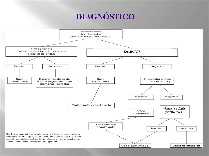 DIAGNÓSTICO Estudio PCR ? ? > 6 meses serología por 2 técnicas 